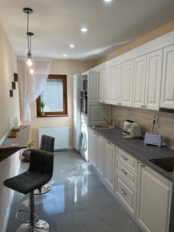 Apartament Lexannona Busteni Ngoại thất bức ảnh