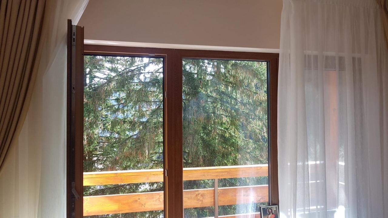 Apartament Lexannona Busteni Ngoại thất bức ảnh